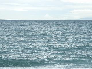 11187s.jpg 800x600 180KB 