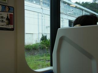 11133s.jpg 800x600 109KB 