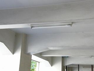 204057s.jpg 800x600 80KB 