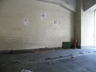 204058s.jpg 800x600 104KB 