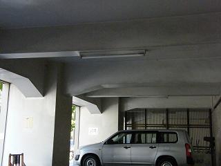 204059s.jpg 800x600 115KB 