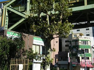 211077s.jpg 800x600 259KB 