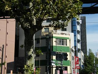 211084s.jpg 800x600 201KB 