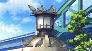 204037.jpg 512x288 48KB 