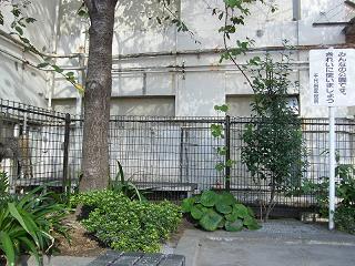 204042s.jpg 800x600 264KB 