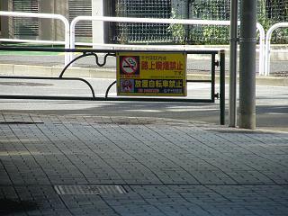 204046s.jpg 800x600 201KB 