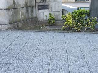 204053s.jpg 800x600 250KB 