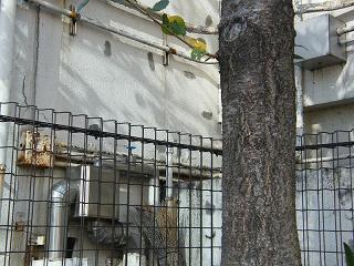 204098s.jpg 800x600 242KB 