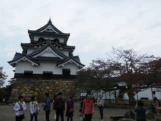 210082s.jpg 800x600 151KB 