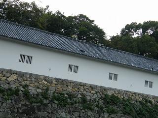 210083s.jpg 800x600 182KB 