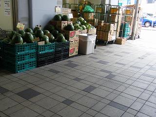 204006s.jpg 800x600 207KB 