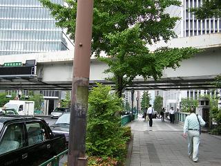 209067s.jpg 800x600 243KB 