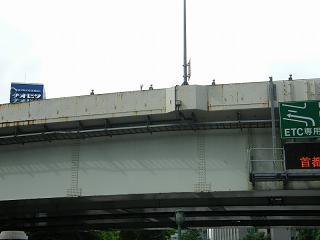 209096s.jpg 800x600 89KB 