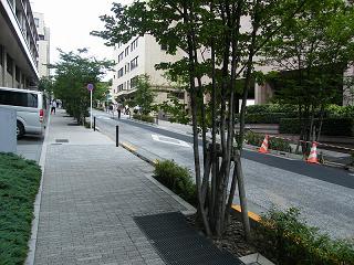 209058s.jpg 800x600 253KB 