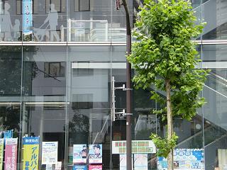 208034s.jpg 800x600 210KB 