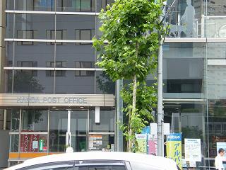 208036s.jpg 800x600 198KB 
