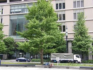 209134s.jpg 800x600 261KB 