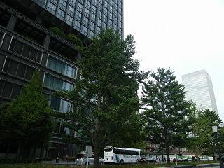 209142s.jpg 800x600 195KB 