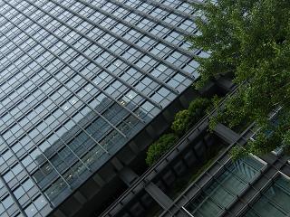 209164s.jpg 800x600 243KB 