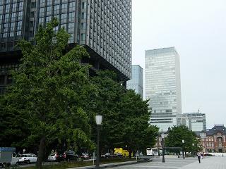 209177s.jpg 800x600 197KB 