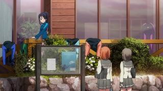 01095.jpg 512x288 51KB 