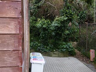 01106s.jpg 800x600 245KB 