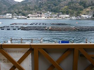 12050s.jpg 800x600 194KB 