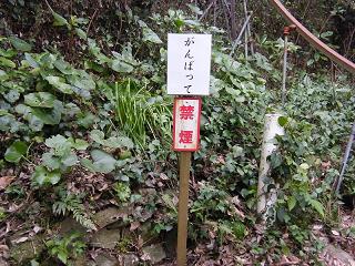 04033s.jpg 800x600 277KB 