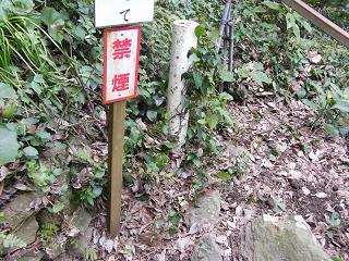 04037s.jpg 800x600 293KB 