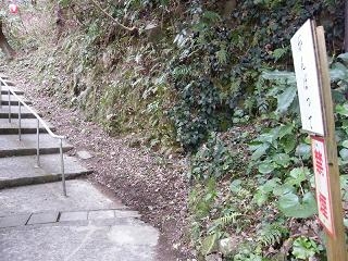 04038s.jpg 800x600 272KB 