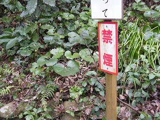 04043s.jpg 800x600 261KB 