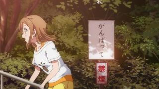 04055.jpg 512x288 51KB 