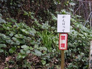 04055s.jpg 800x600 254KB 