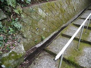 04056s.jpg 800x600 293KB 