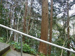 04058s.jpg 800x600 331KB 