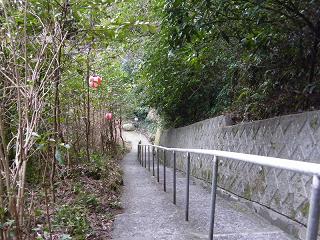 04059s.jpg 800x600 275KB 