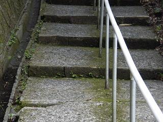 04064s.jpg 800x600 223KB 