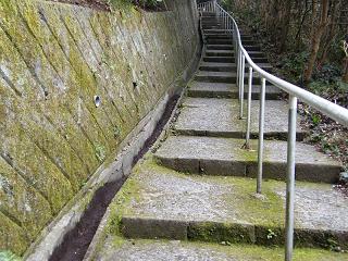 04067s.jpg 800x600 267KB 