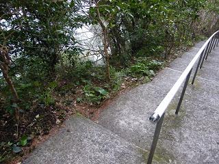 04071s.jpg 800x600 281KB 