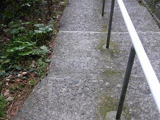 04072s.jpg 800x600 251KB 