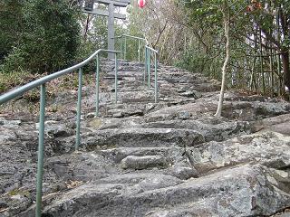 04075s.jpg 800x600 310KB 