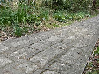 04080s.jpg 800x600 292KB 