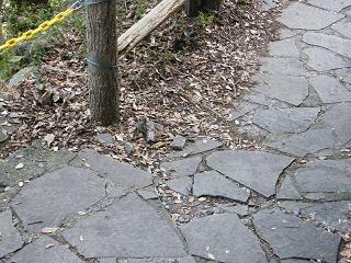 04086s.jpg 800x600 263KB 