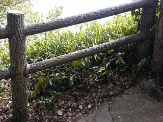 04092s.jpg 800x600 237KB 