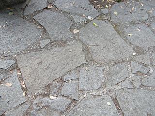 04094s.jpg 800x600 263KB 