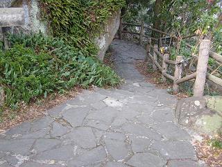 04097s.jpg 800x600 261KB 