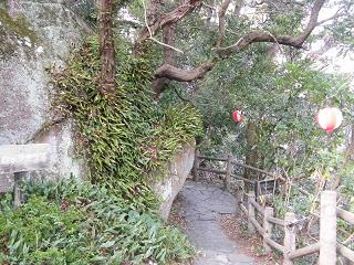 04098s.jpg 800x600 294KB 