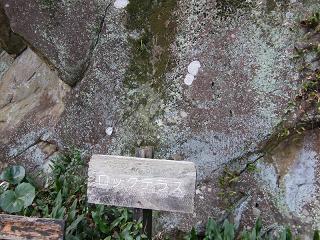 04100s.jpg 800x600 285KB 