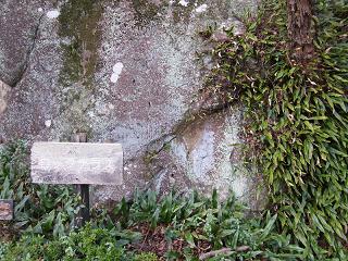 04102s.jpg 800x600 308KB 