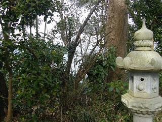 09026s.jpg 800x600 289KB 